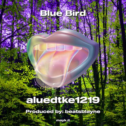 Blue Bird