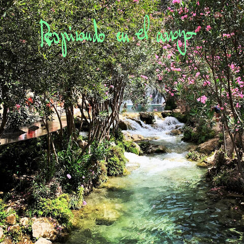 Respirando en el Arroyo