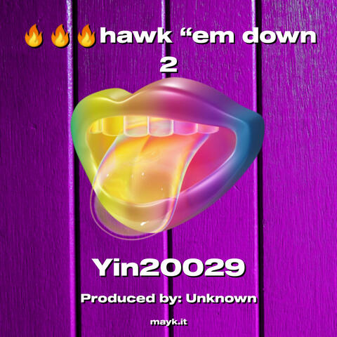 hawk em down 2