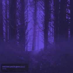 and now you're gone (Slowed + Reverb)