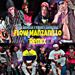 Flow Manzanillo