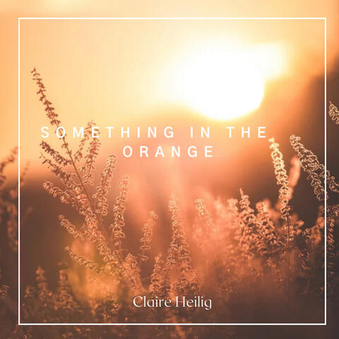 Something In The Orange