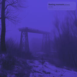 fleeting moments (Slowed + Reverb)