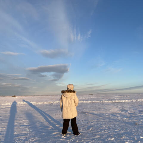 Il cavaliere d'inverno