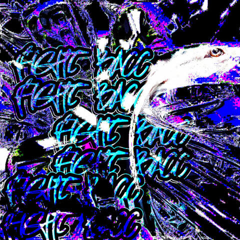 Fight Bacc