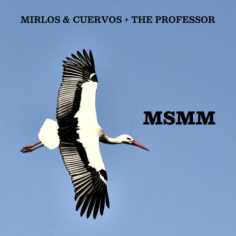 MSMM (Me Siento Mucho Mejor)