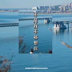 不是我不够想你