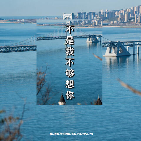 不是我不够想你