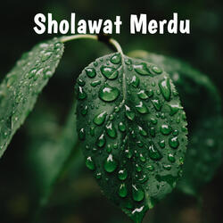 Sholawat Merdu Thoha Alyamani