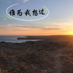 谁为我想过