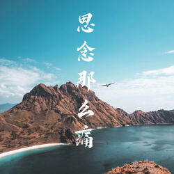 思念那么痛