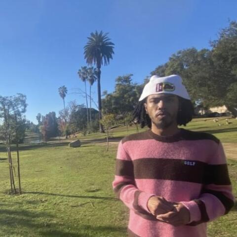 ACCORDION / ORANGE INDICA