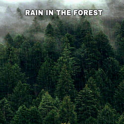 Deep Raining For Soft Sleep