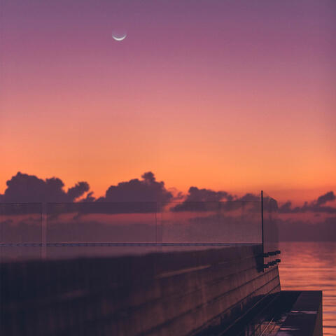 summer nights