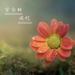 空白的记忆