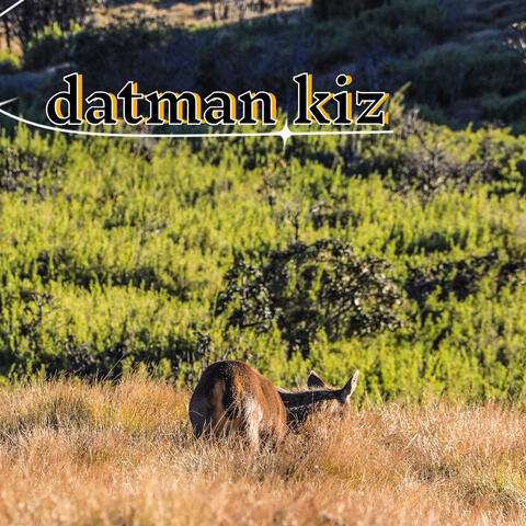 datman kiz