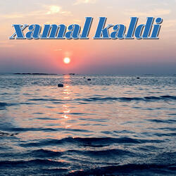 xamal kaldi