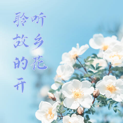 聆听故乡的花开