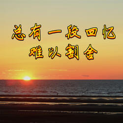 总有一段回忆难以割舍