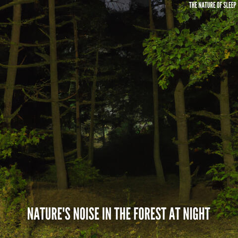 Nature's Noise in the Forest at Night