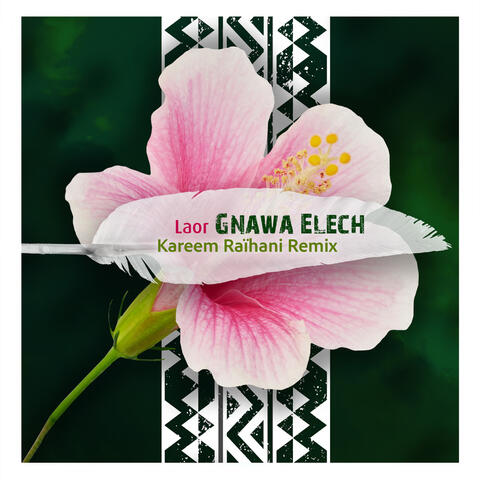 Gnawa Elech