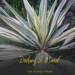 Ambient music 4