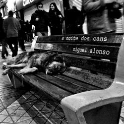 Fuxida no. 1 - adeus a esta casa