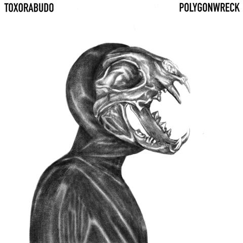 Polygon Wreck