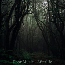 Afterlife