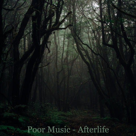 Afterlife