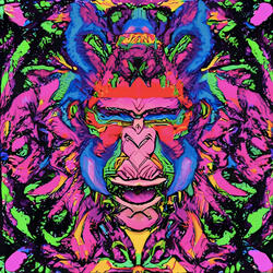 Surfeanden Pandemia - Fulang Chan