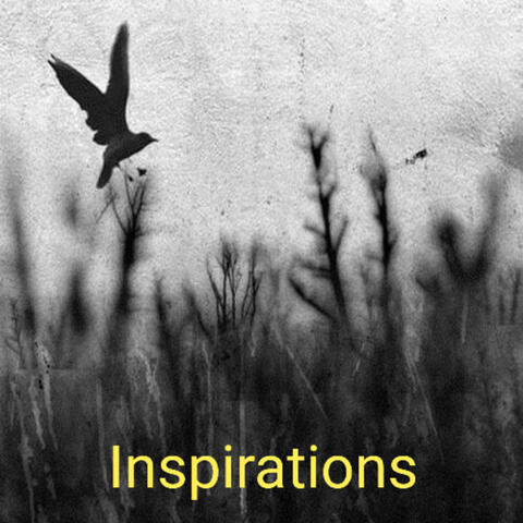 Inspirations