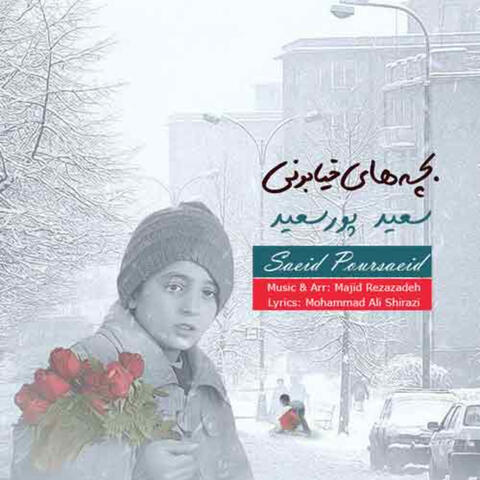 Bachehaye khiabooni