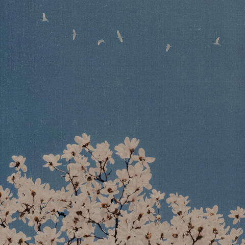 铁拳