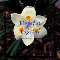 Hopeful Digital