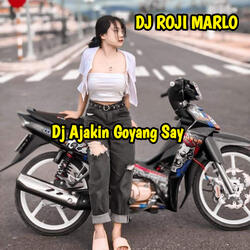 Dj Ajakin Goyang Say