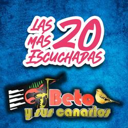 Mi Segunda Carta
