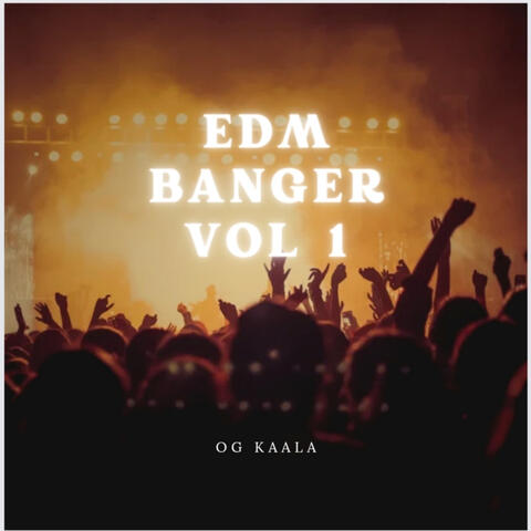 EDM BANGER, Vol. 1