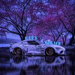 City Night