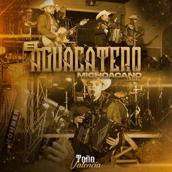 El Aguacatero Michoacano