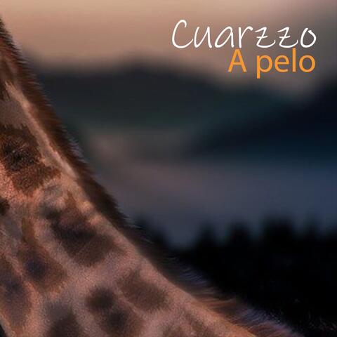 A pelo