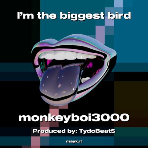 I’m the biggest bird