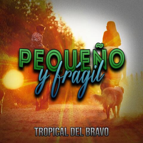 Pequeña y Frágil