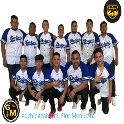 Xochipitzahuatl Flor Menudita