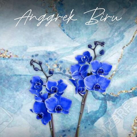 Anggrek Biru