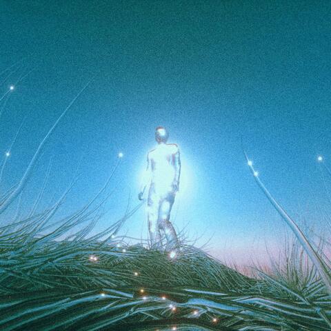Simulation