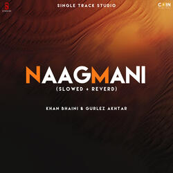 Naagmani