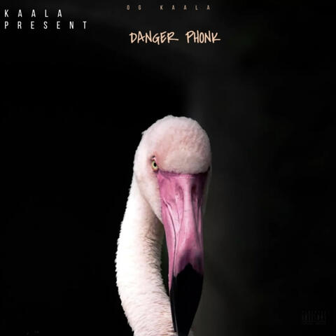 Danger Phonk