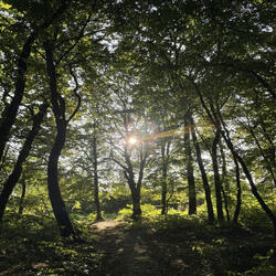 тільки ти, тільки я