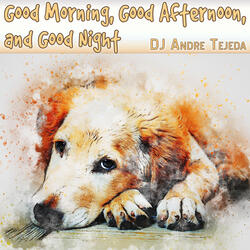 Good Morning, Good Afternoon, and Good Night